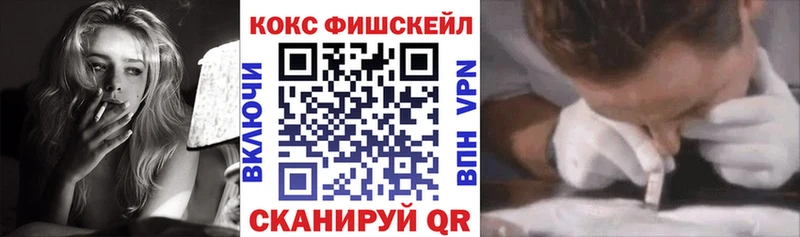 КОКАИН Fish Scale  Купить закладки  Демидов 