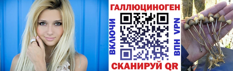 Галлюциногенные грибы ЛСД Купить Демидов